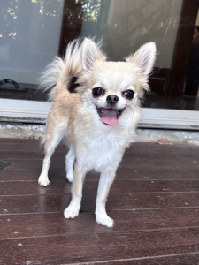 Jendrika Sleeping Beauty4